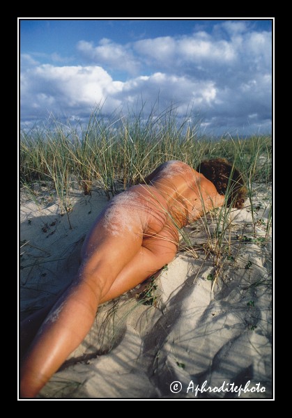 110 Sur la dune